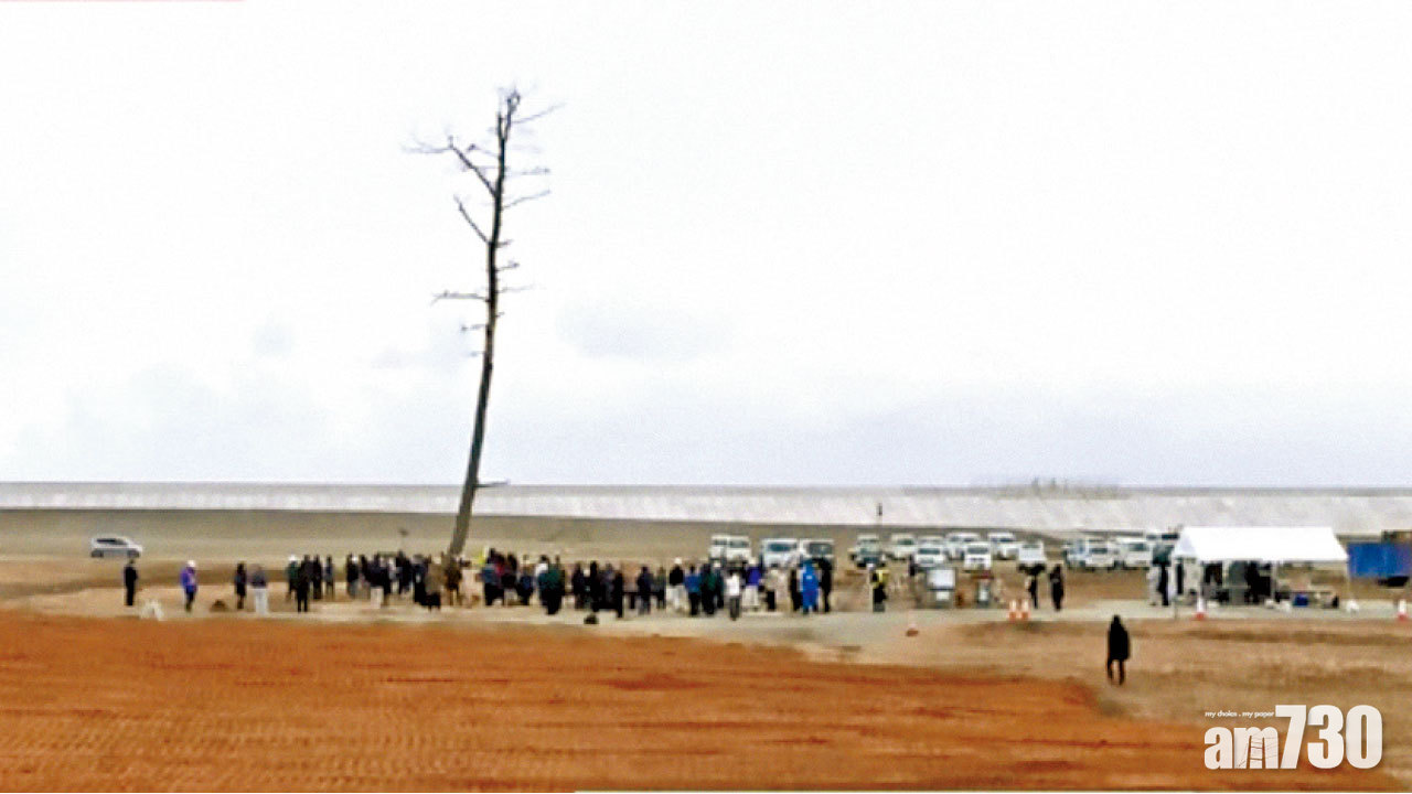 別了福島「奇蹟之松」