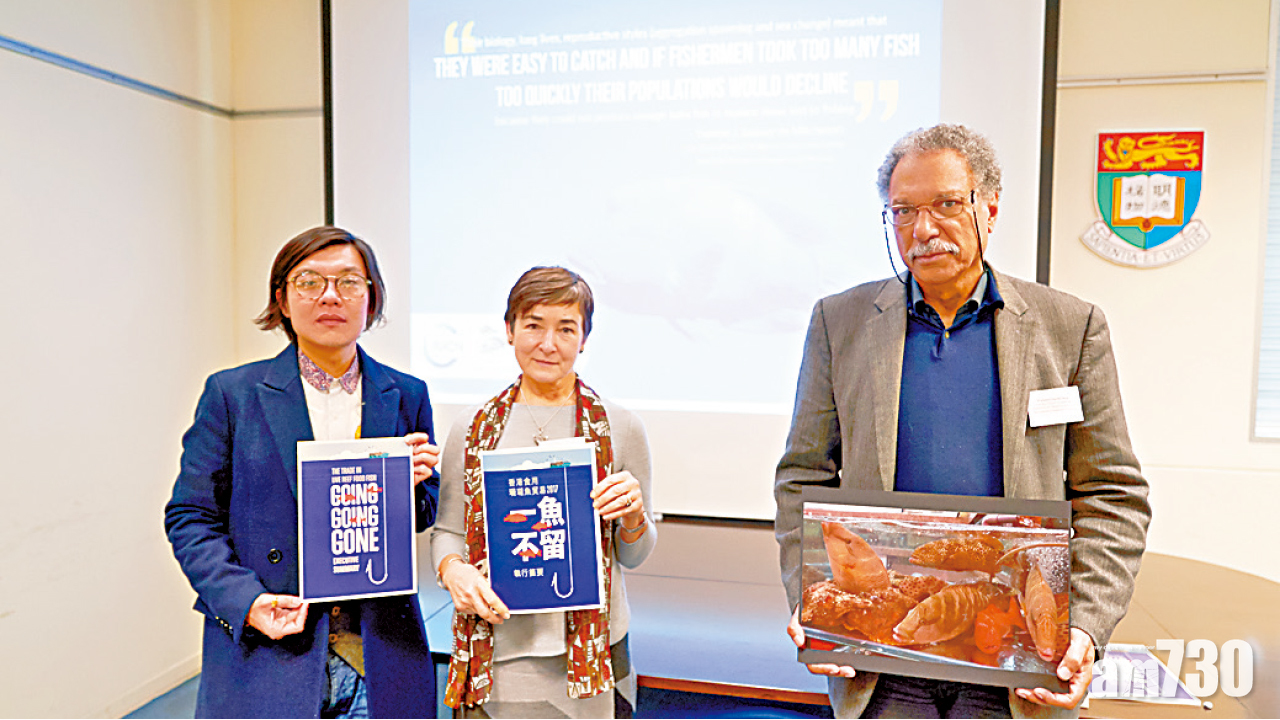 過度捕撈嚴重低估進口量  野生珊瑚魚恐絕種