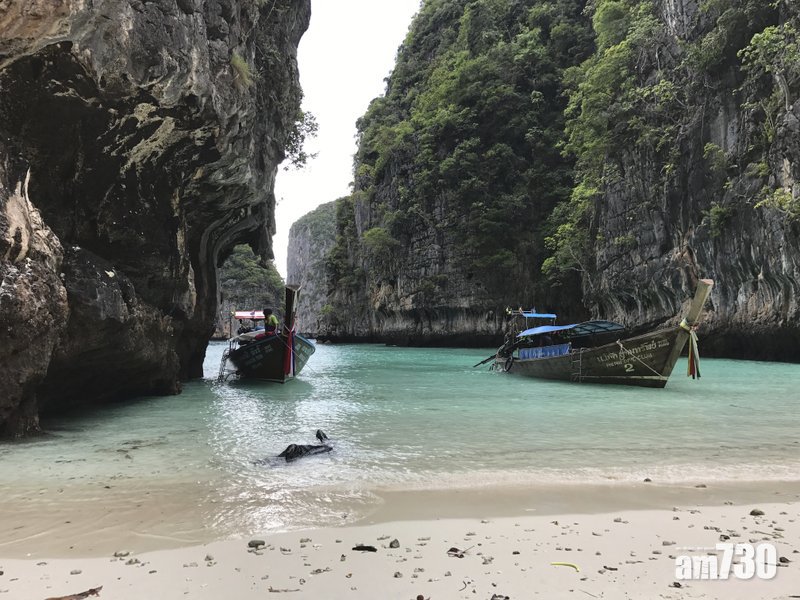 保護海洋生態　泰國「迷幻沙灘」6至9月關閉
