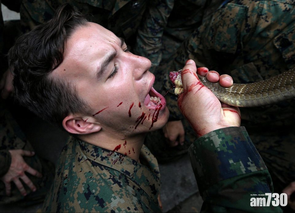 美軍食蜥蜴飲蛇血學求生