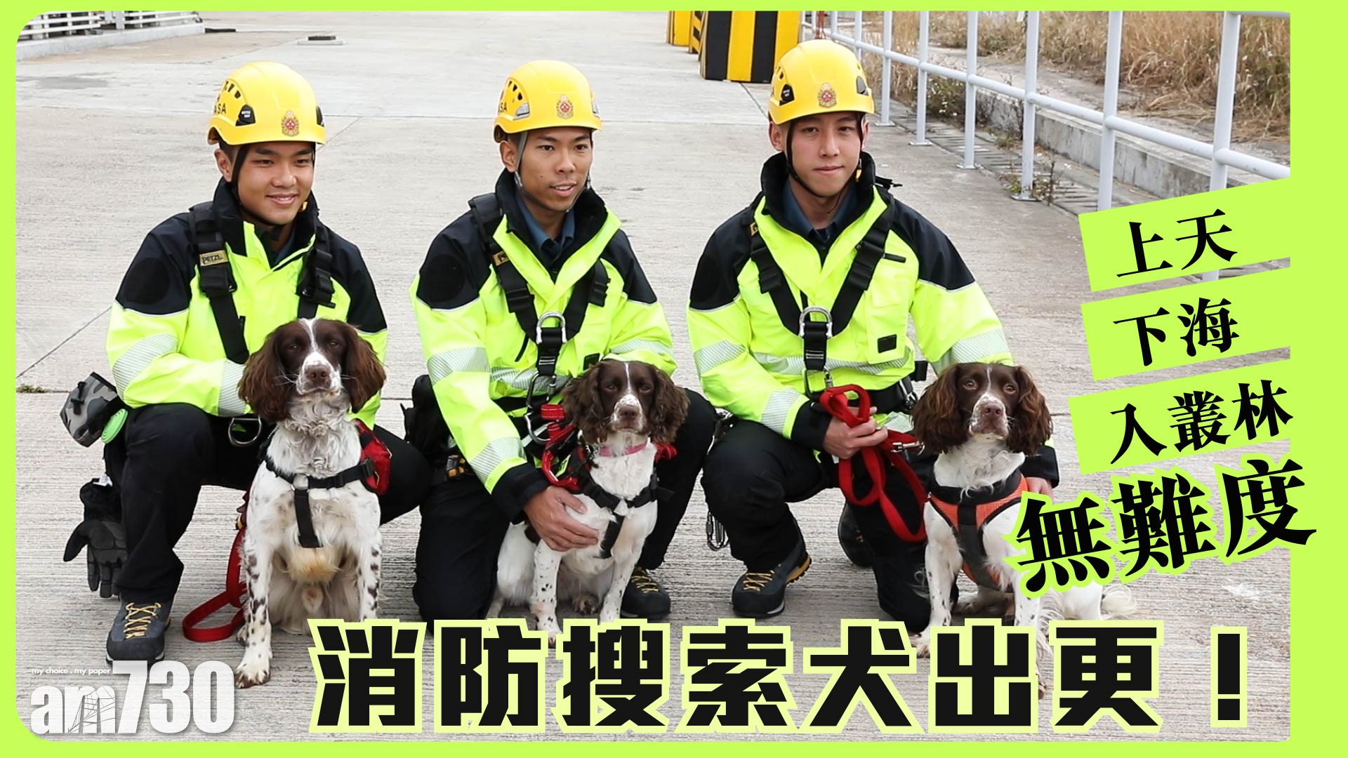 消防搜索犬出更 上天下海入叢林無難度