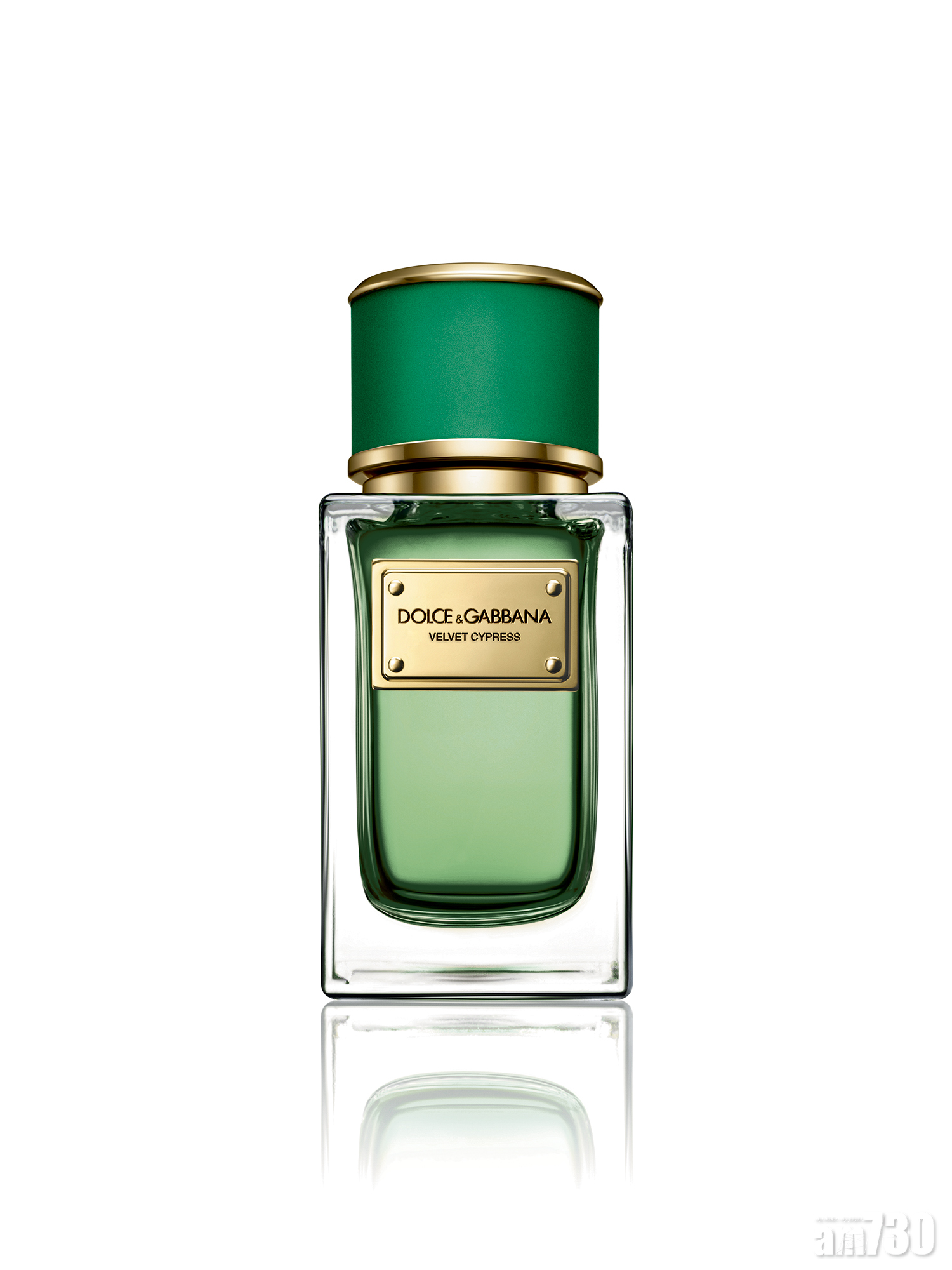 Dolce&Gabbana Velvet Collection最新woody氣息Velvet Cypress