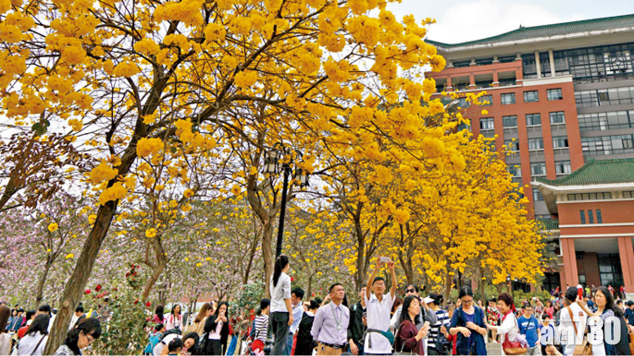 交通幾癱瘓 學生不敢出門