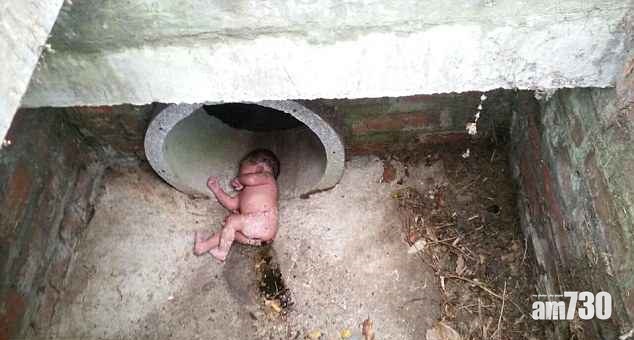 【邊個咁狠心】女嬰遭棄水渠 紅火蟻竇在旁