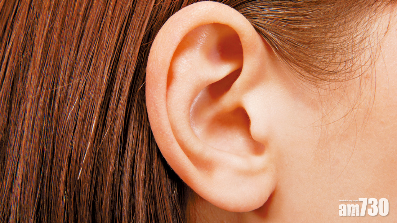 長期耳鳴困擾  學習共存