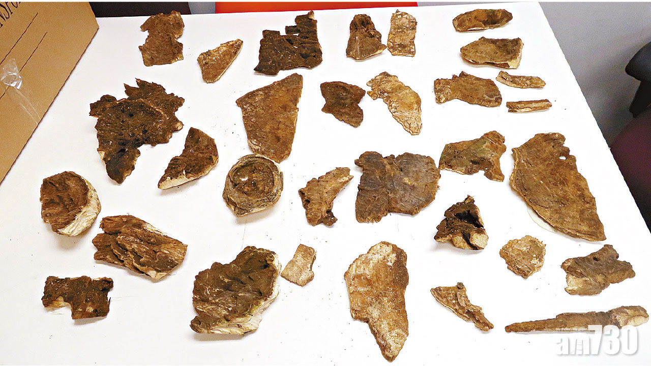 走私土沉香木片 25歲旅客囚2月