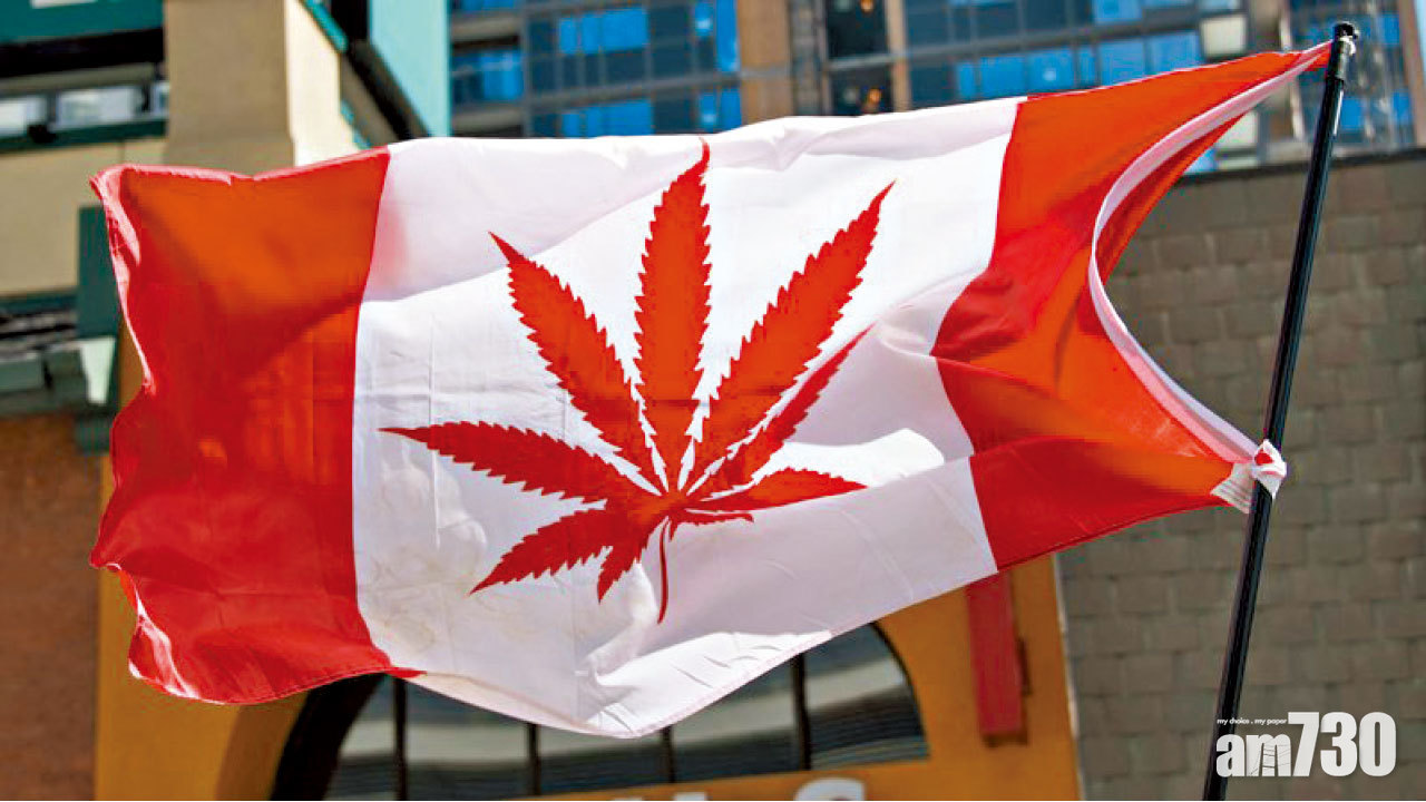 加拿大參議院通過　娛樂用大麻合法化