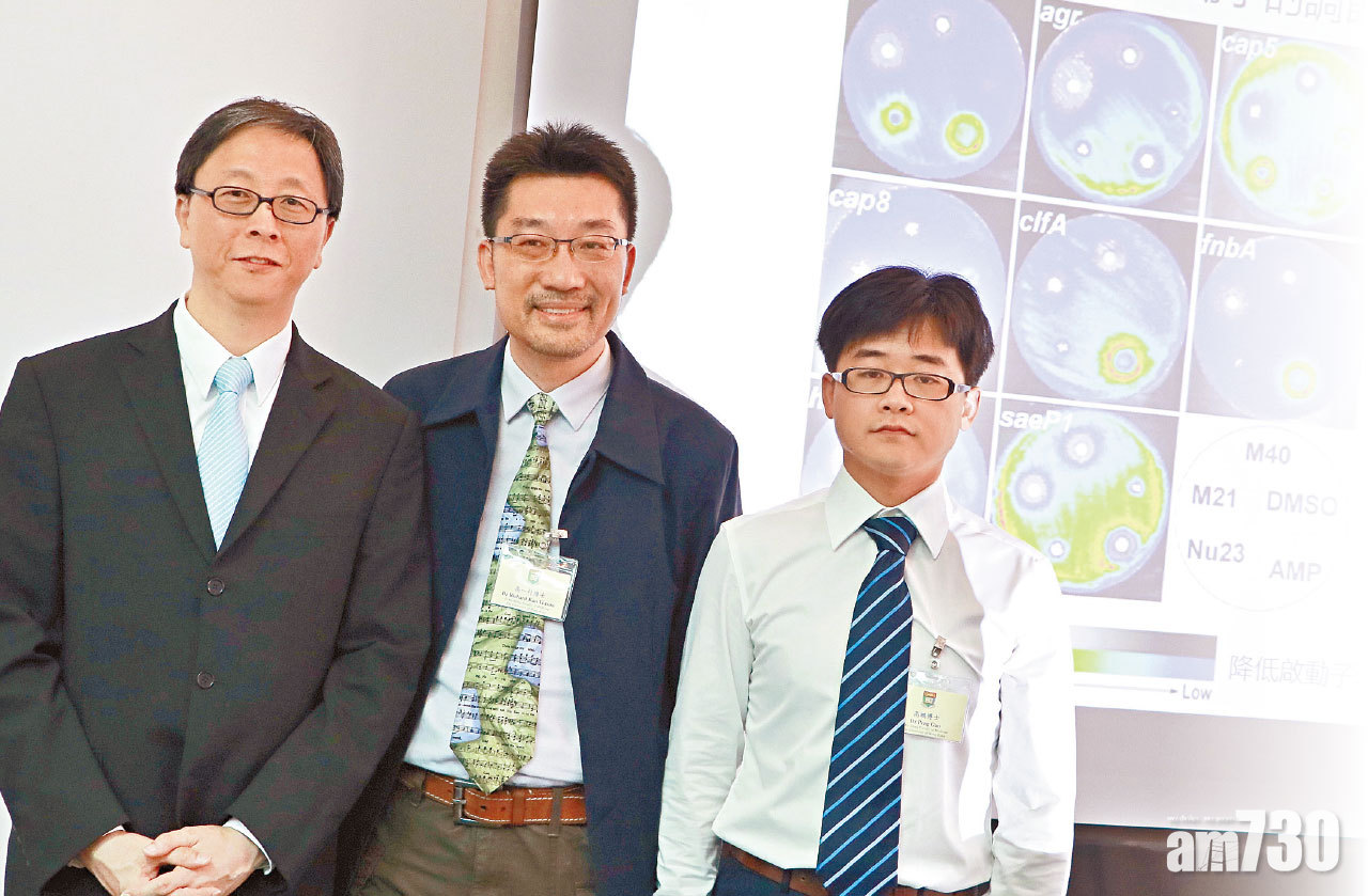 非抗生素治療新發現 對付惡菌耐藥性