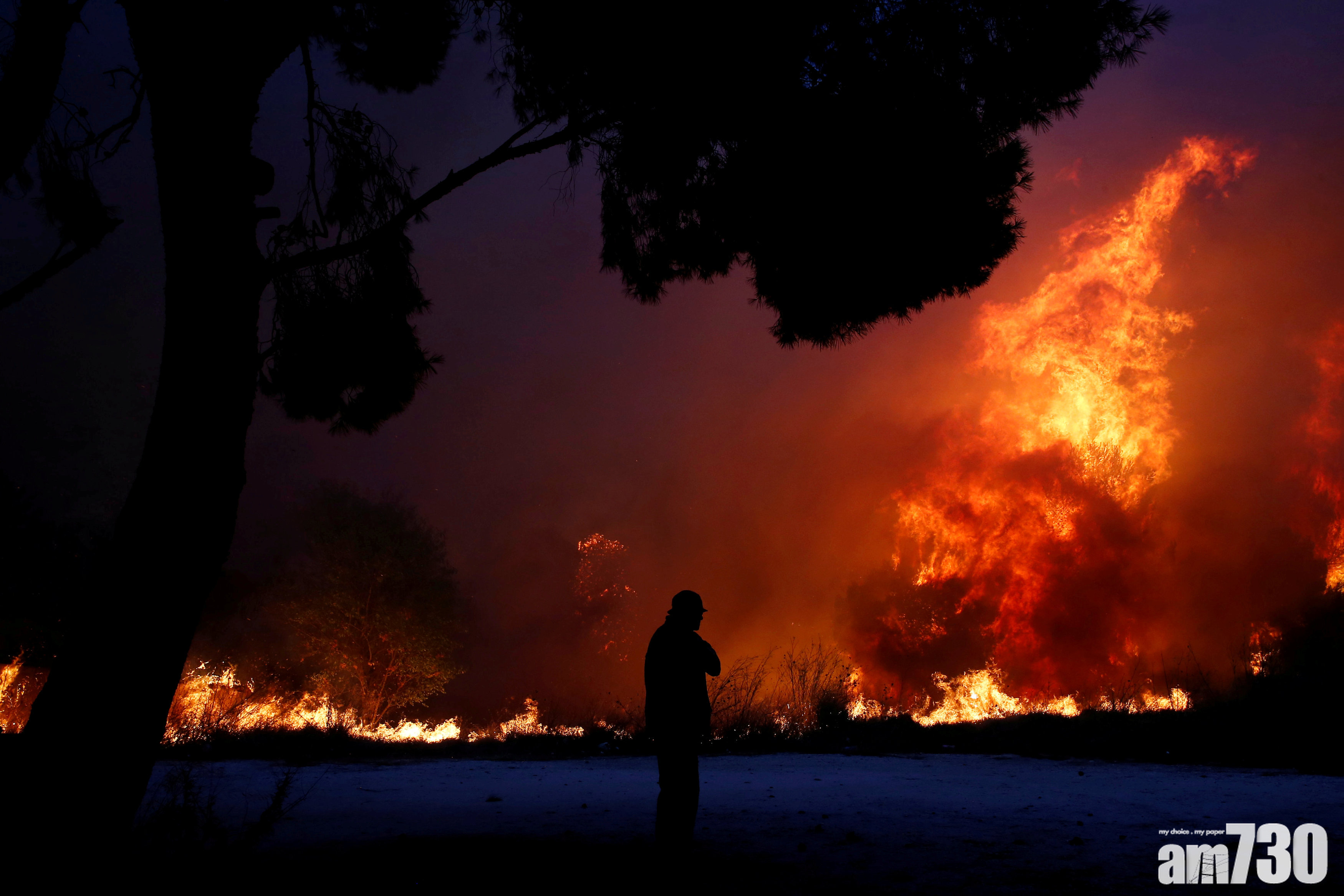【有片】希臘山火增至60死 民眾驚險駕車逃命