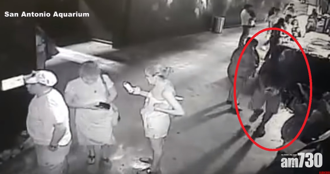 【騎呢盜竊】美國小偷眾目睽睽偷虎鯊BB(有片)