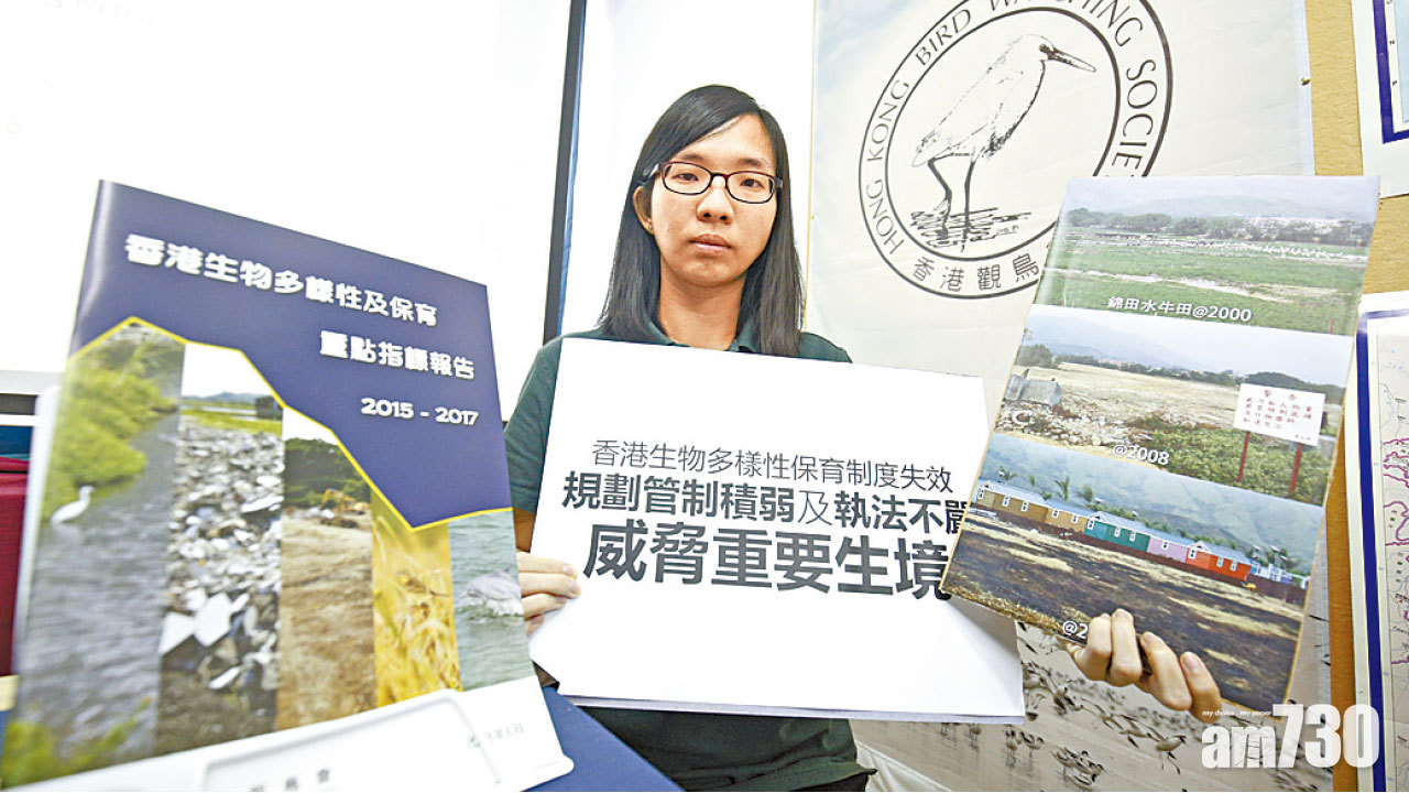 保育綠化地 執法不嚴 觀鳥會批破壞本港生態發展