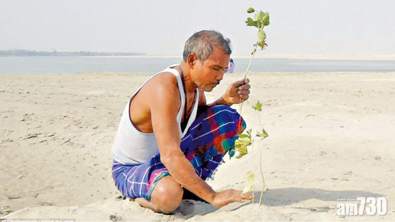 一人植千畝森林