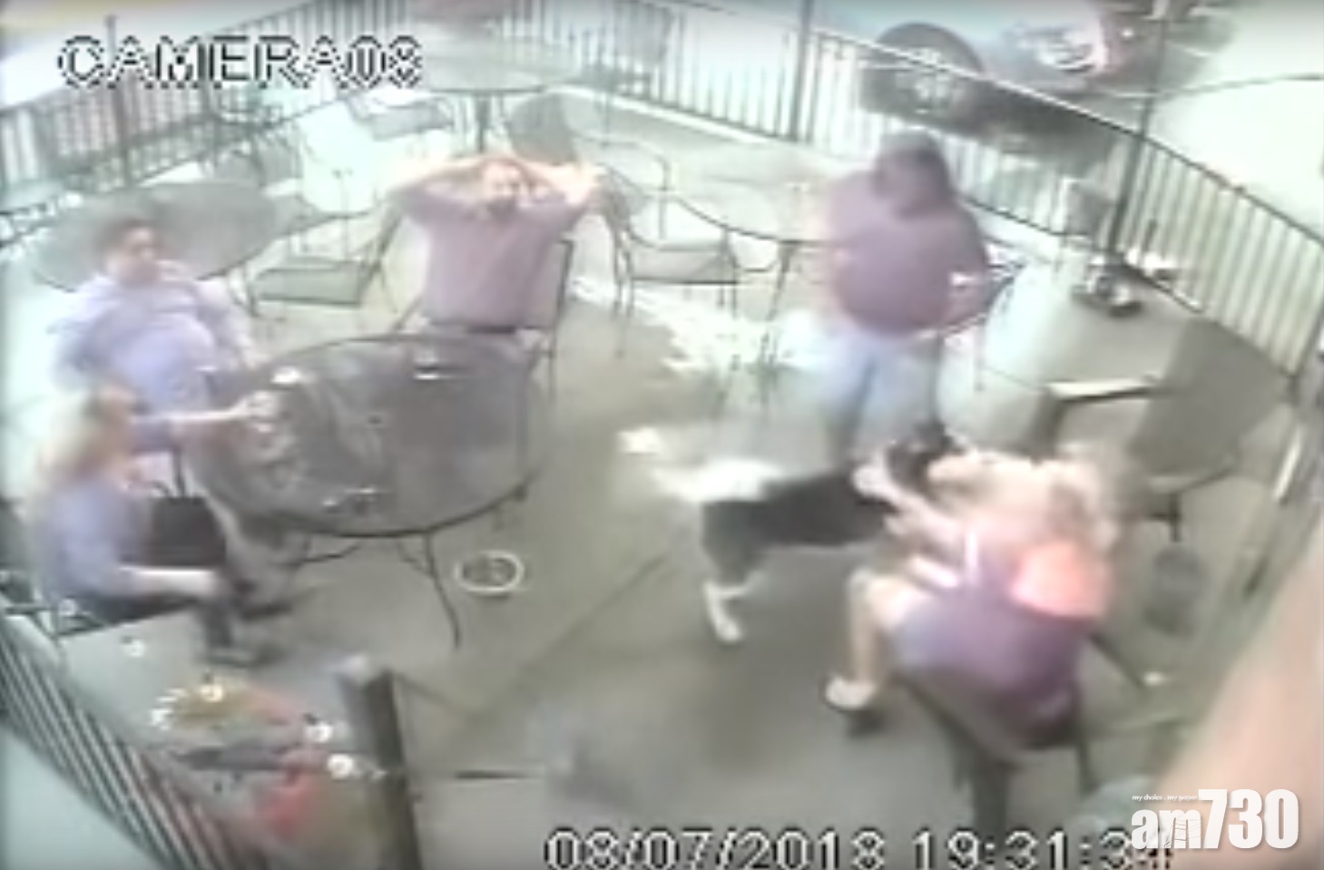 撫摸陌生雪橇犬遭咬 女子傷眼需整容 (有片)