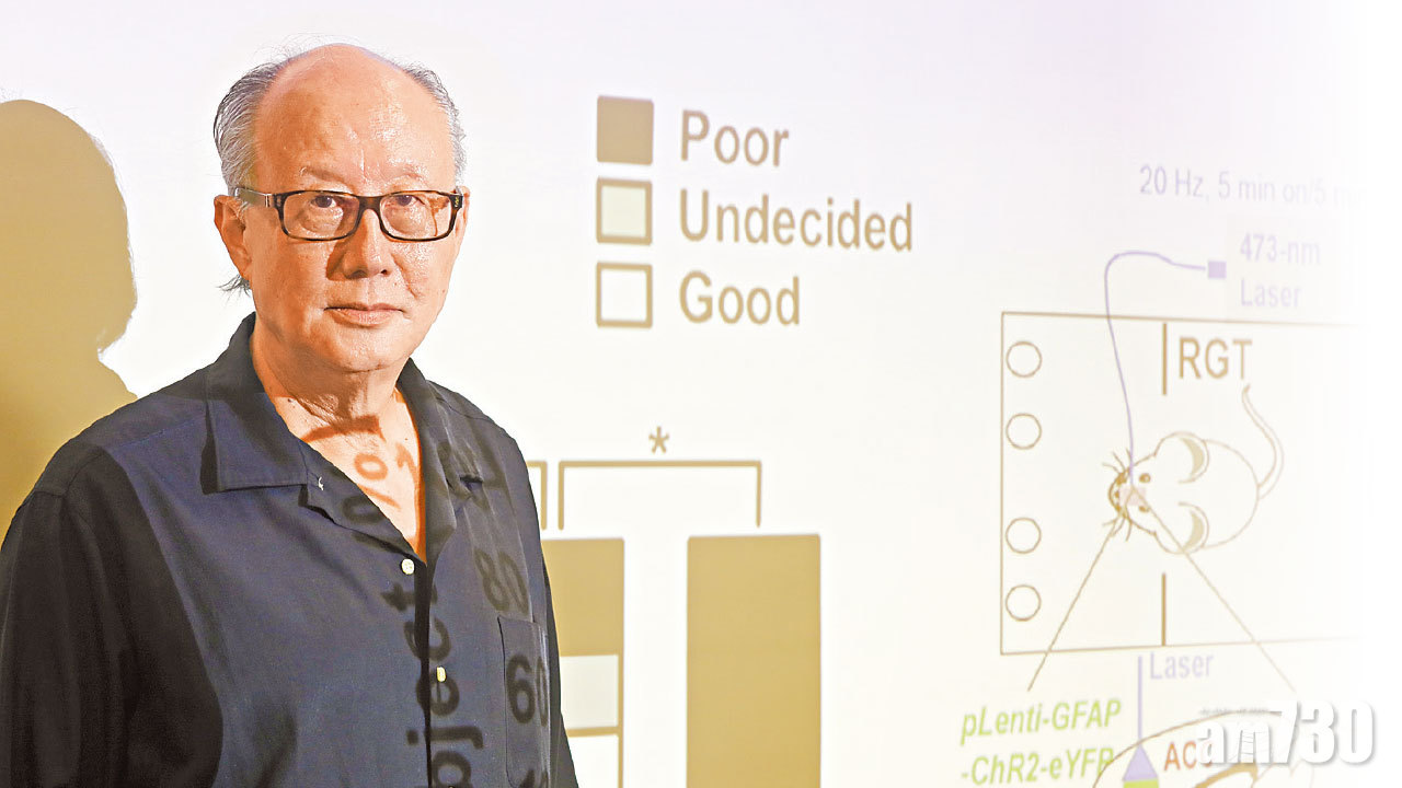 慢性痛症損認知 城大發現乳酸或助改善