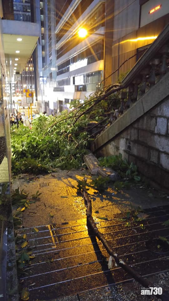 【山竹襲港】都爹利街煤氣燈被毀