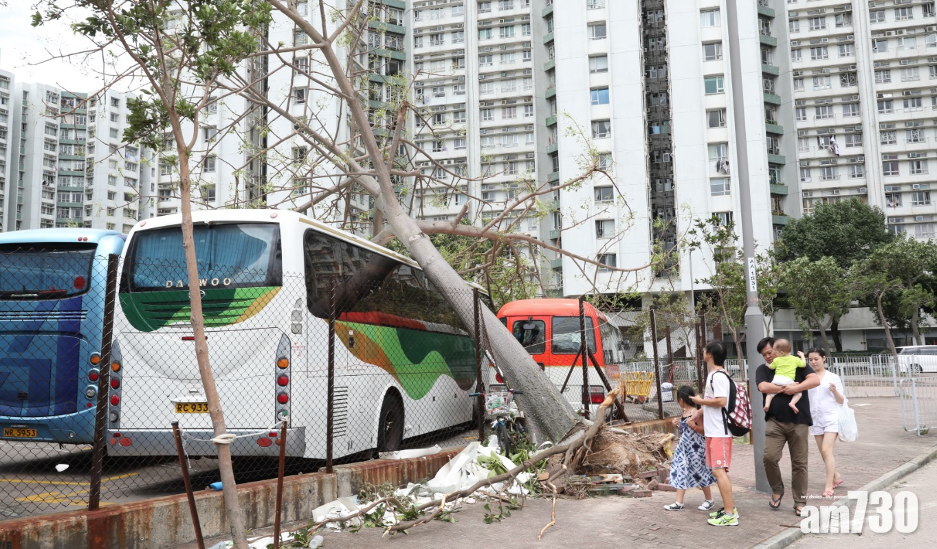 天文台取消所有熱帶氣旋警告