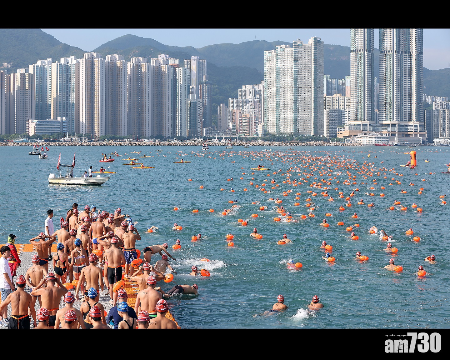 新世界維港泳 近5000人報名創新高