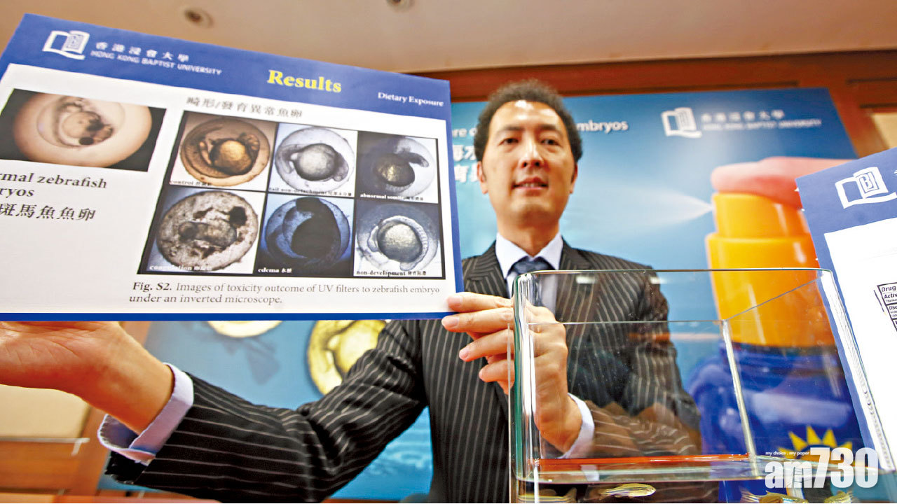 防曬用品污染海產  浸大︰損生殖能力