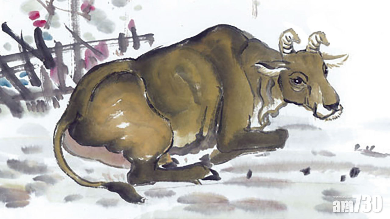 政府擬修例打擊炒黃牛