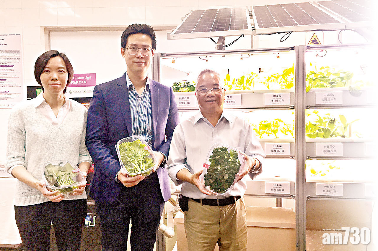 水耕中心成功培植  4種新蔬菜應市