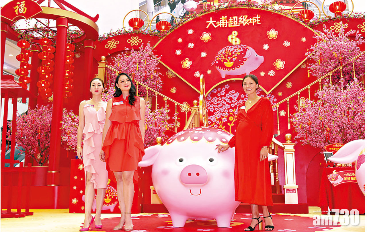 莊思敏望似豬求有人飼養