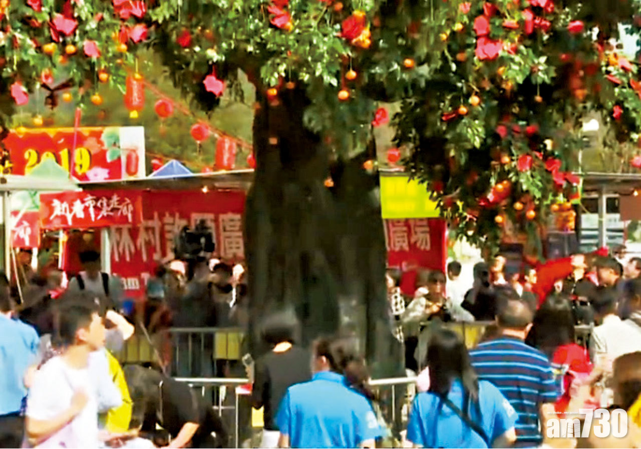 許願樹遭拉爛 大會圍鐵欄防拉扯