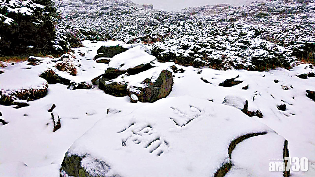 圖片新聞:賞雪