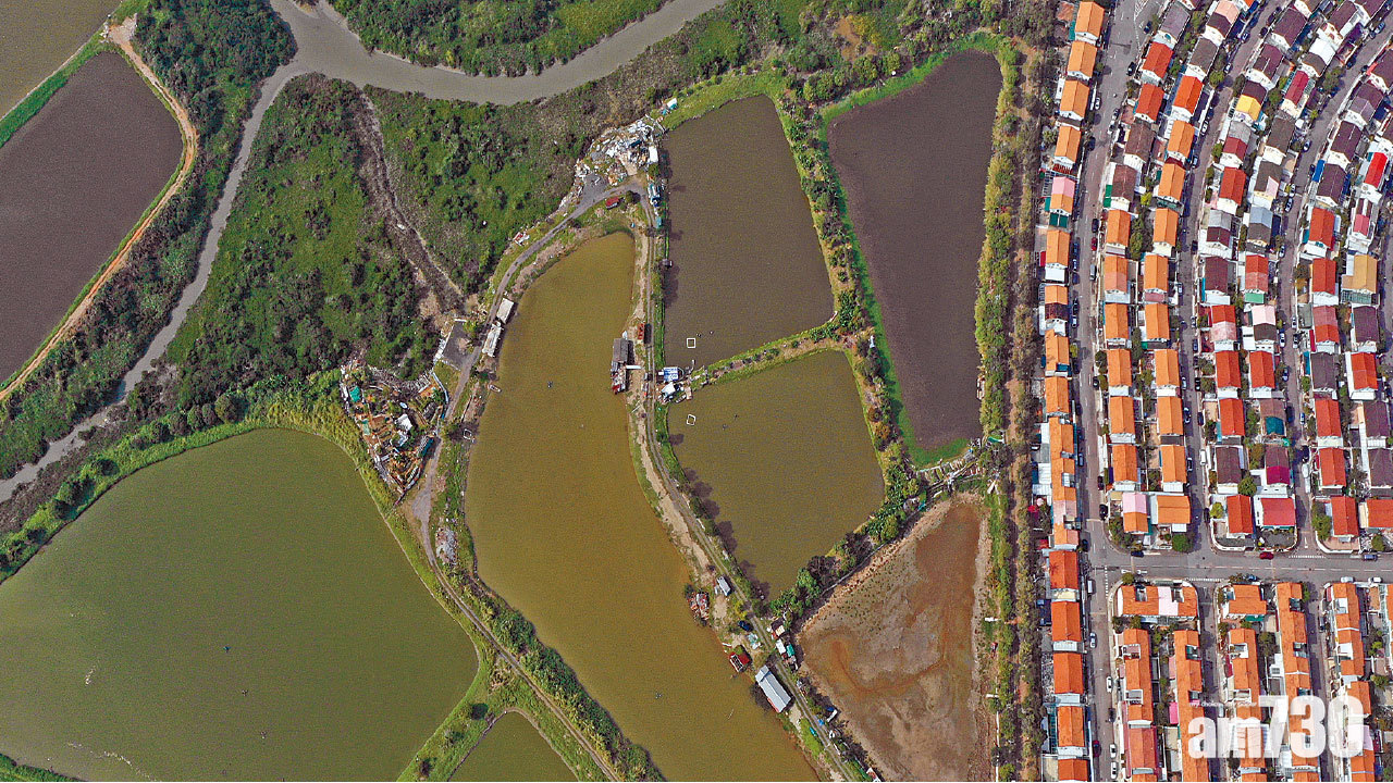 【濕地前途系列】 研究濕地緩衝區增建房屋 誘發展商注資保育基金