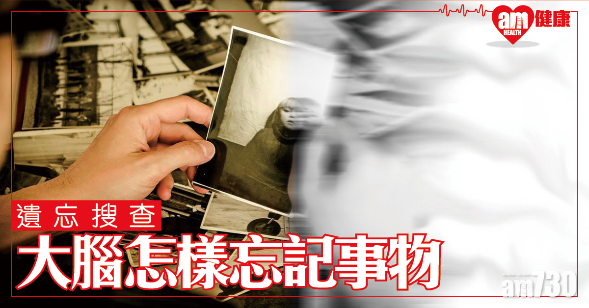 【遺忘搜查】忘記比記住更花腦力