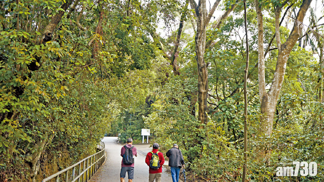 以五官感受大自然 森林浴沖走都市人煩惱