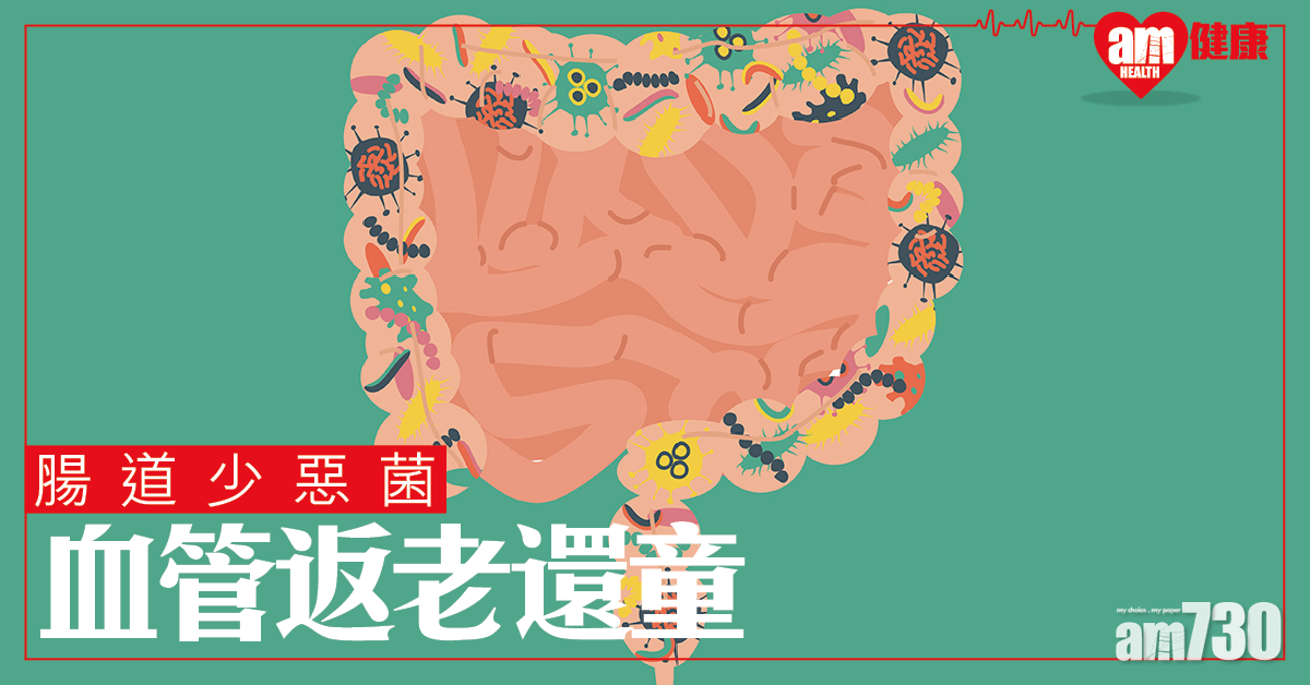 【罪魁禍首】腸道少惡菌 血管返老還童