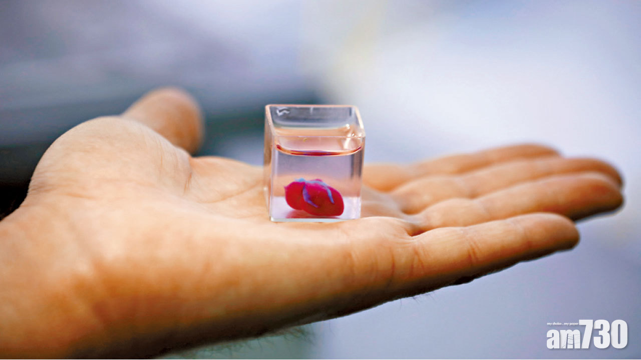 含人體細胞血管 全球首個 3D打印心臟 細如車厘子