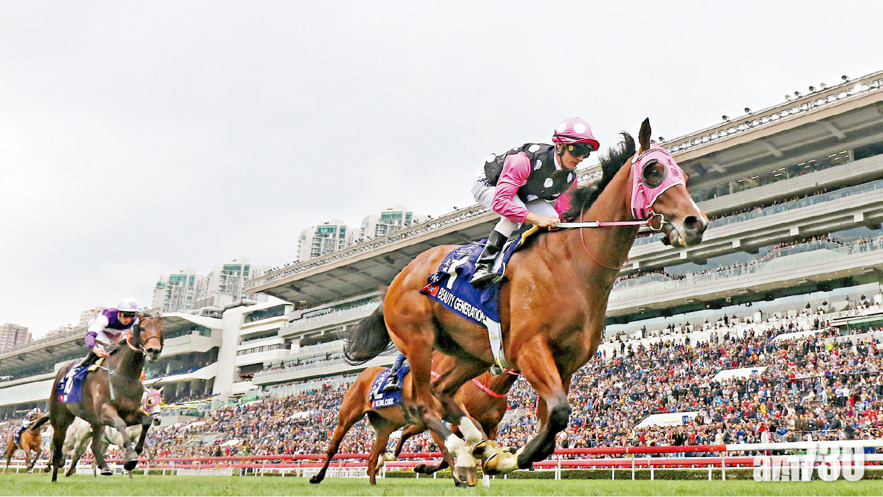 千里馬來港成績遜如期 美麗傳承轉跑道成馬王