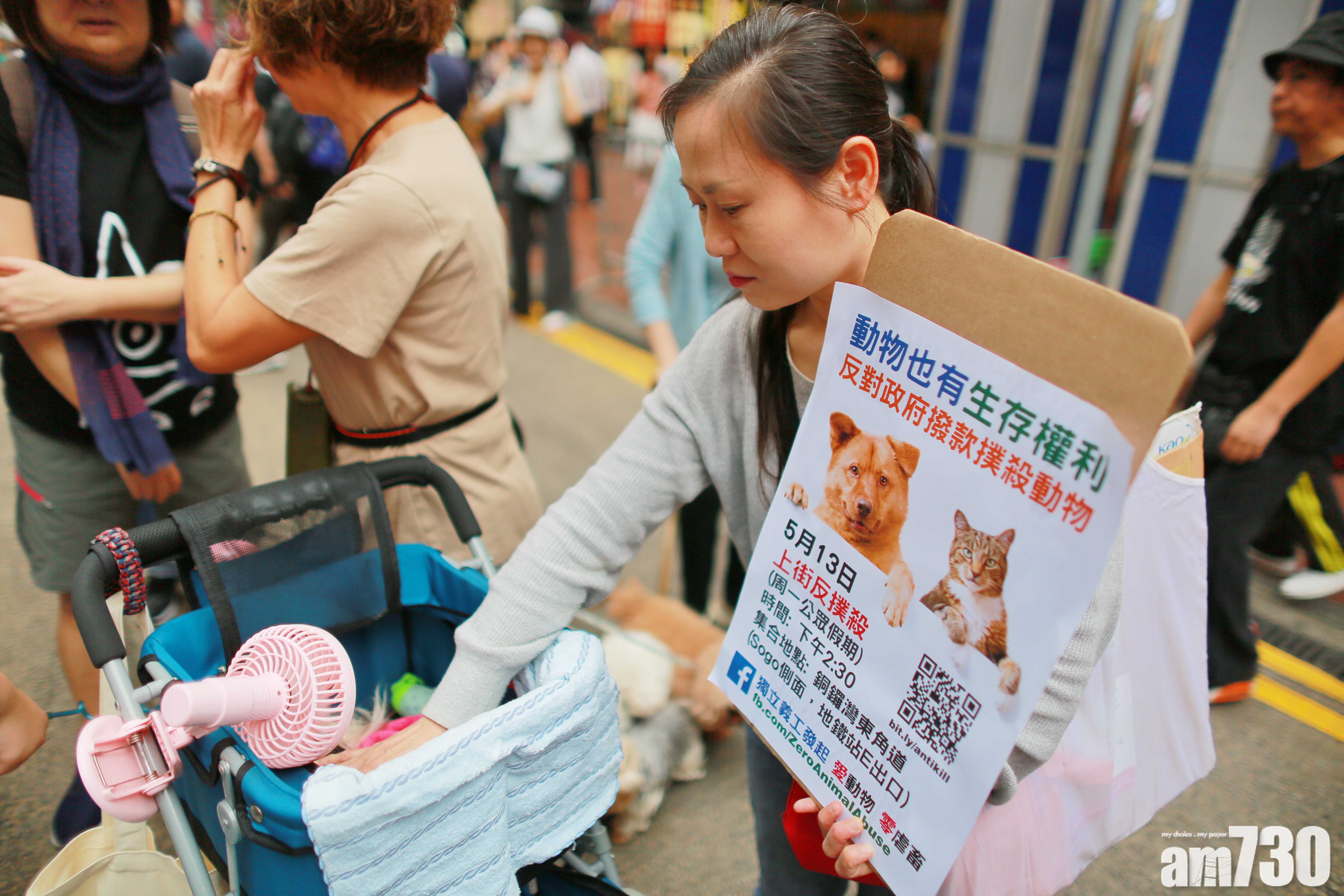 動保組織連續兩周發起遊行 反對政府撥款撲殺動物