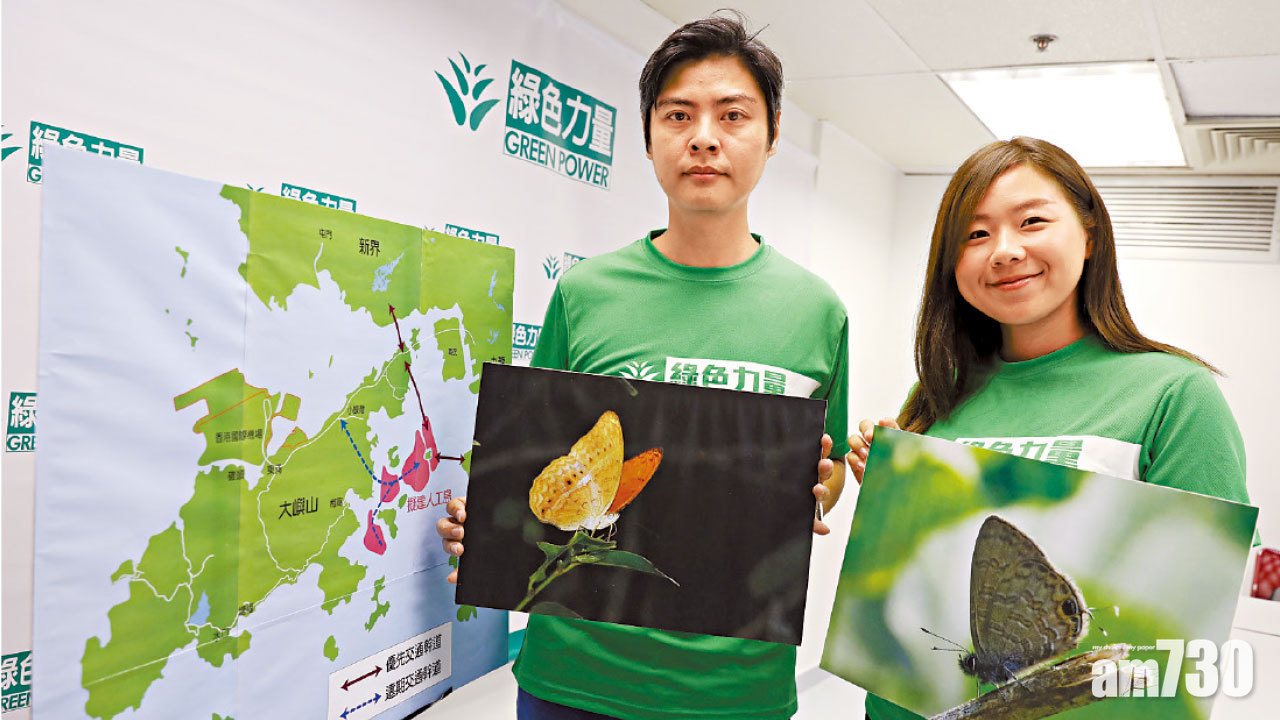 南大嶼見非常罕見物種  幸運轆蛺蝶現塘福