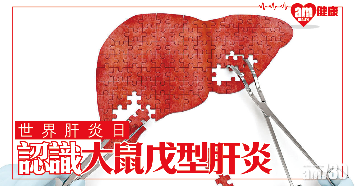 慎防大鼠戊型肝炎來襲