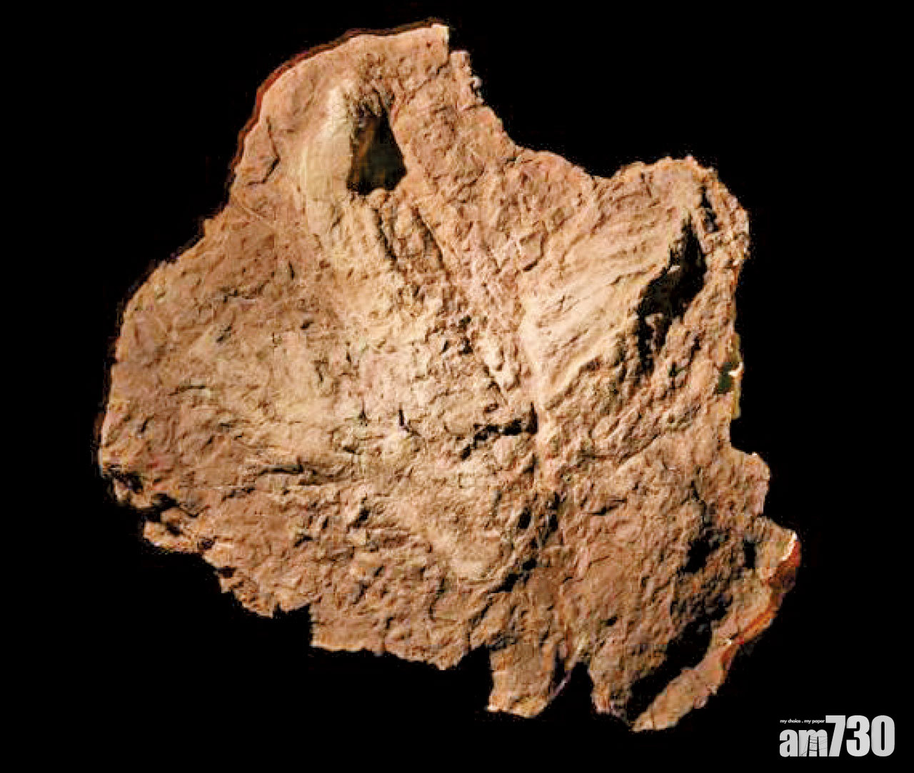 亞洲首例長逾半米 江西發現暴龍腳印化石