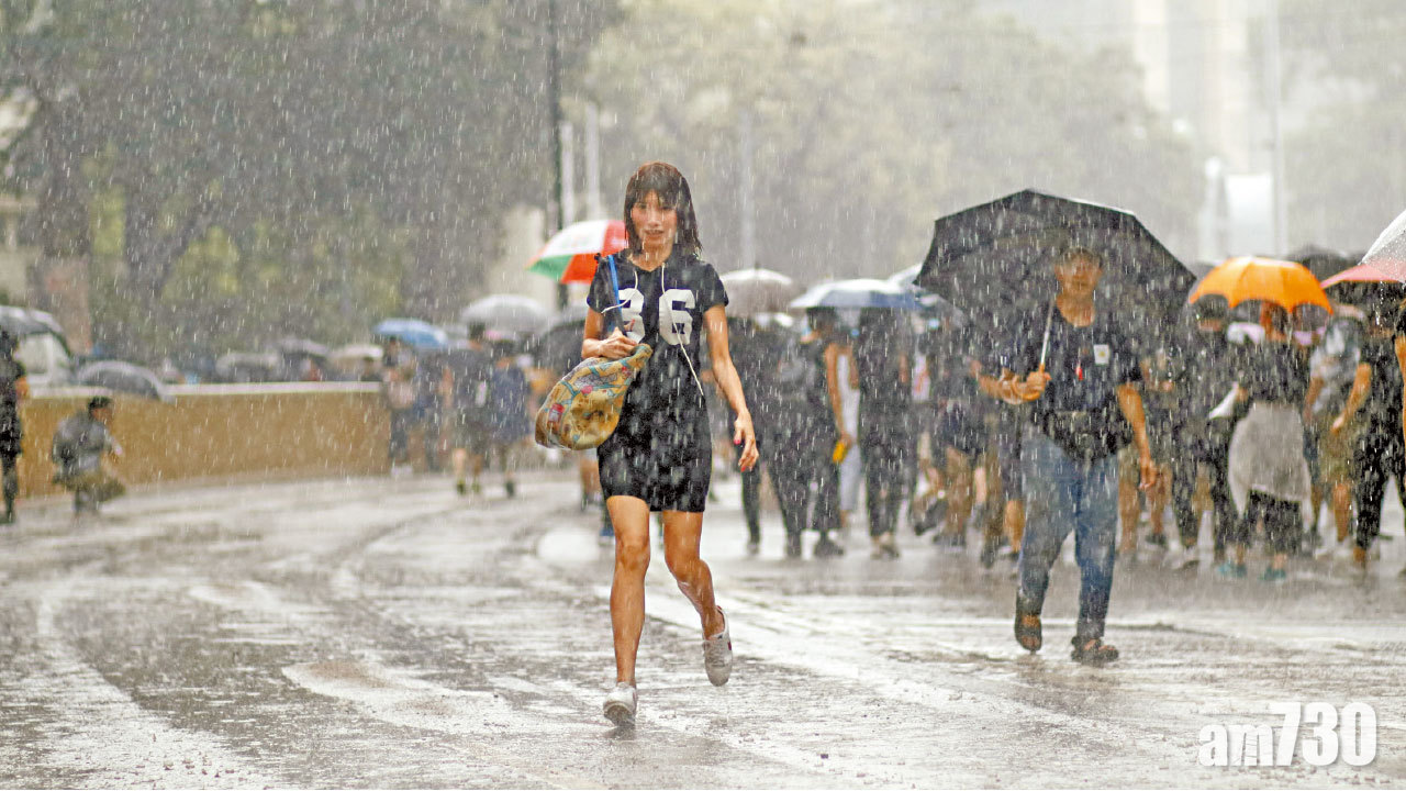 冒雨參加流水式集會 遊行人士拒與「勇武」割席