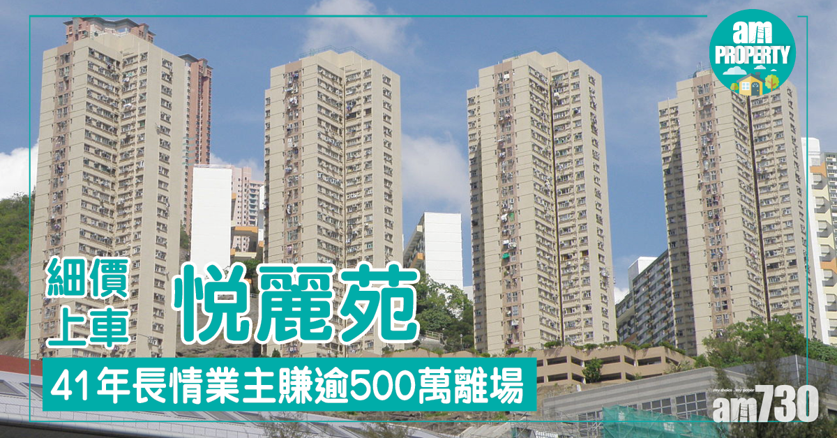 細價盤有人爭！悅麗苑兩客搶購 522萬沽