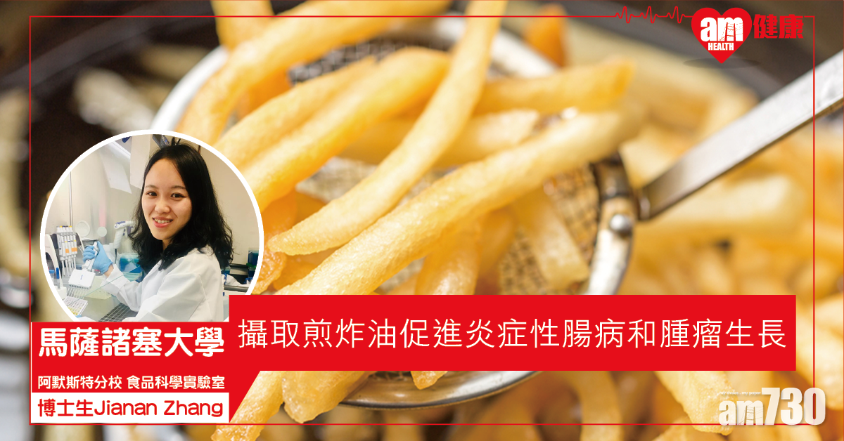 【少吃為妙】麻省：攝取煎炸油促進炎症性腸病和腫瘤生長