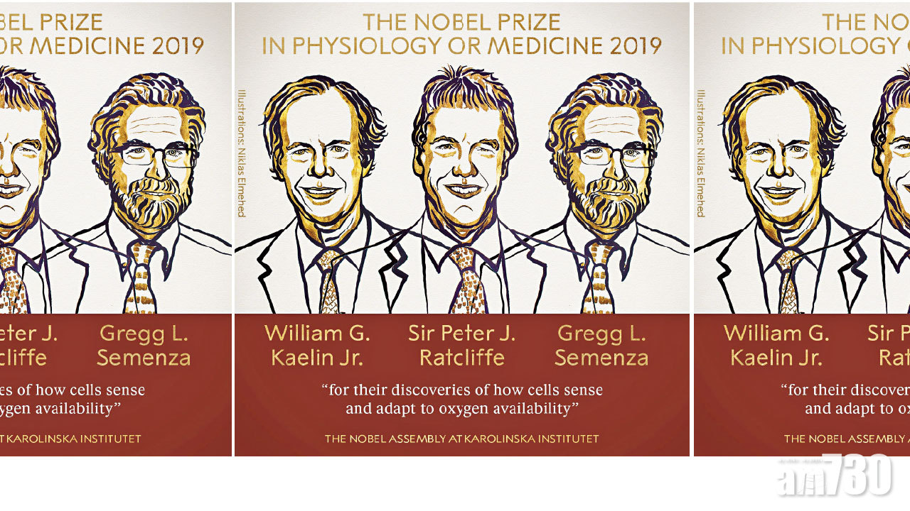 破解細胞如何與氧氣互動 美英三雄奪醫學諾獎