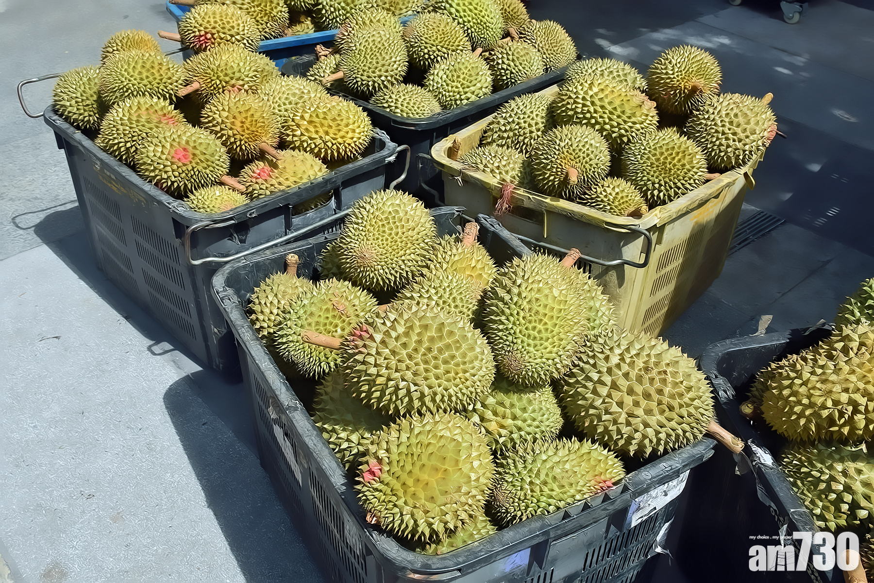 【太難頂】運榴槤後殘留強烈氣味　加航機師戴氧氣罩發求救訊號