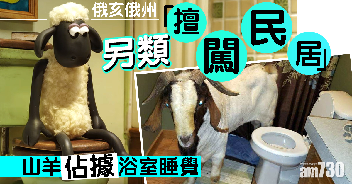 俄亥俄州另類「擅闖民居」 山羊浴室睡覺