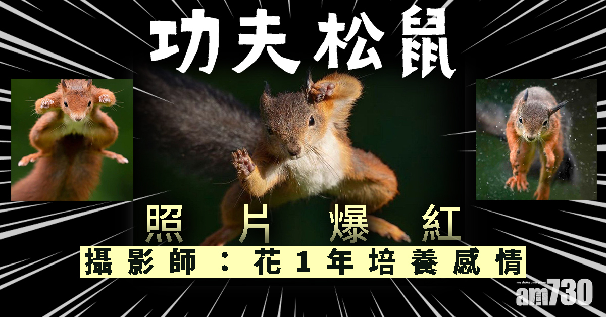 「飛天功夫松鼠」照片爆紅　攝影師：花1年培養感情
