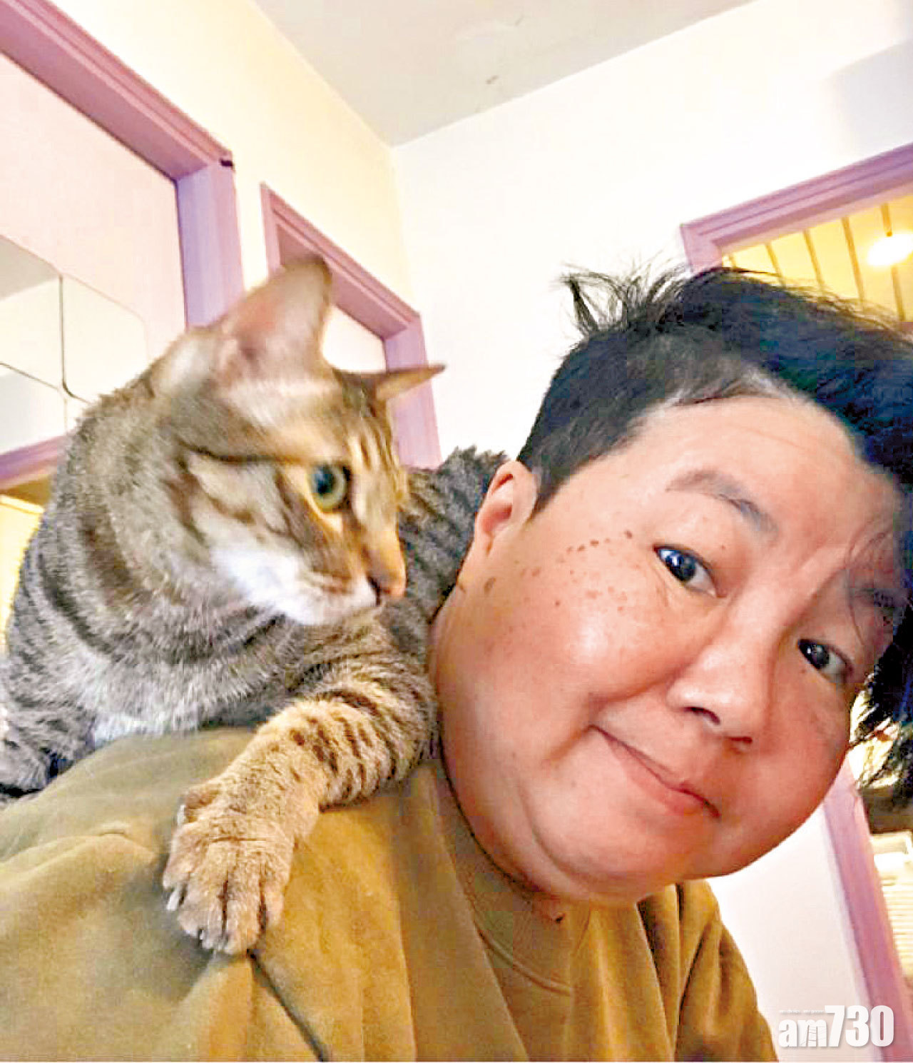 高峰養十數貓狗 路芙一遇動物就出事