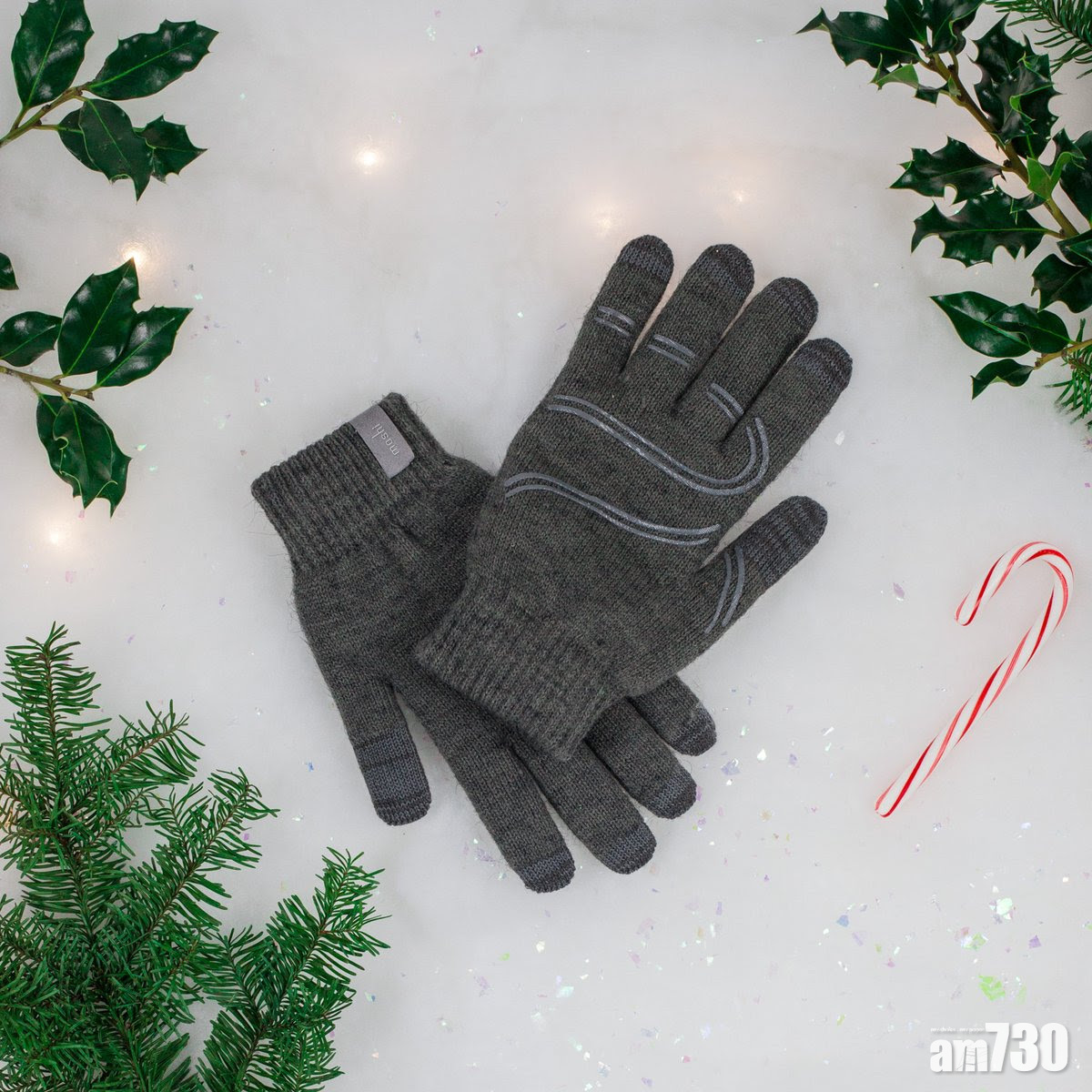 冬日旅遊必備Moshi Digits電容式觸控防滑手套