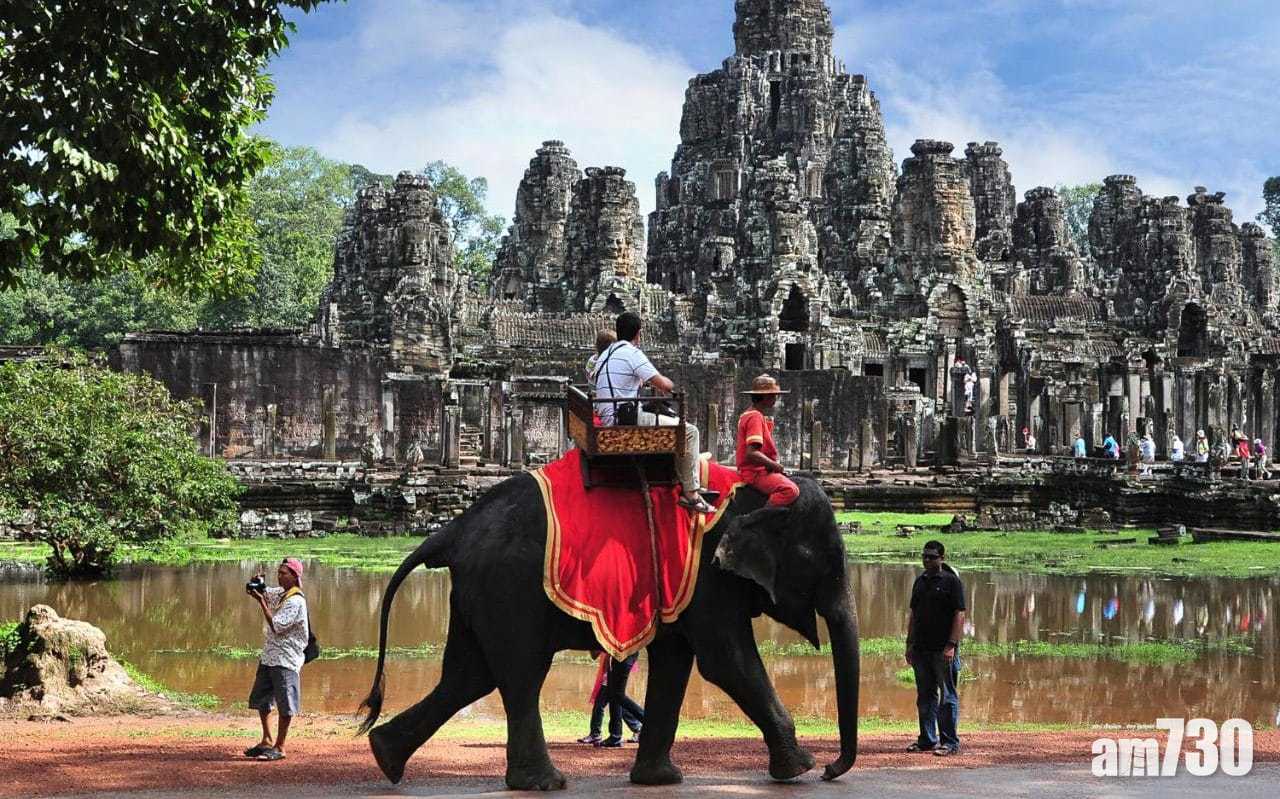 【保護動物】吳哥窟明年起禁騎大象