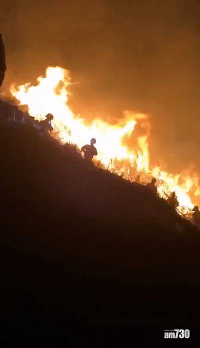 為浪漫上山點「煙花」影相 情侶燒光10畝地