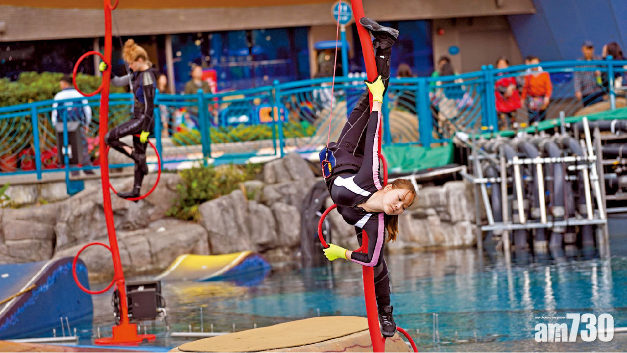 光影盛夜投資達9位數 海洋公園立里程碑拓客源