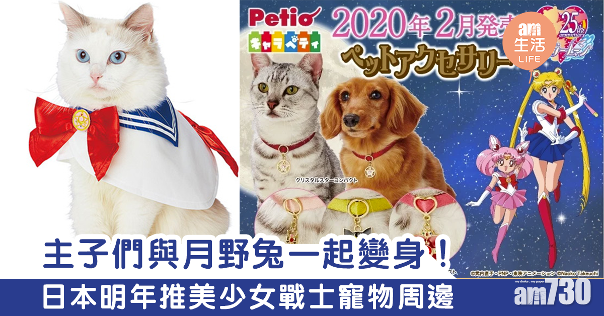 主子們與月野兔一起變身！　日本明年推美少女戰士寵物周邊
